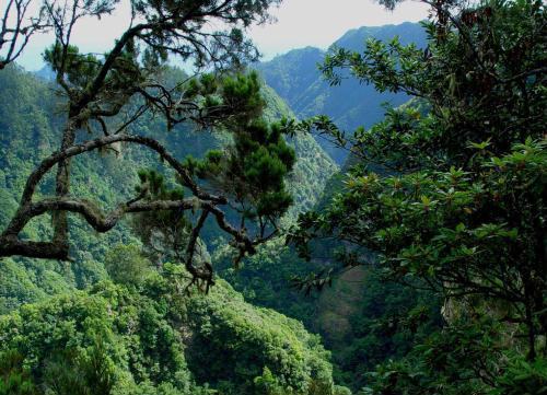 Serra dos Órgãos