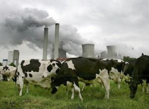 As termelétricas a carvão são grandes emissoras de mercúrio. Foto da AP