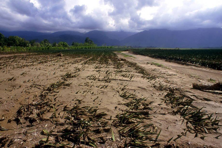 As alterações climáticas têm implicações graves para a agricultura e a segurança alimentar. Foto: FAO/L. Dematteis