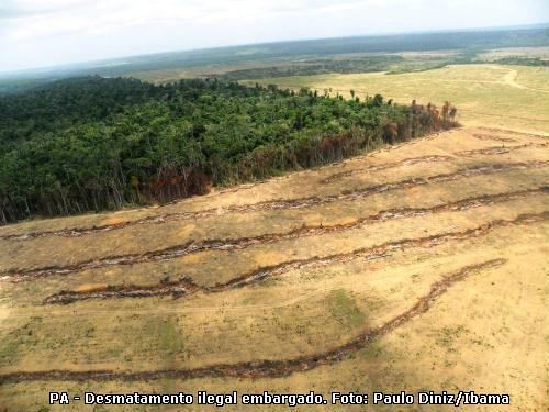 desmatamento na Amazônia