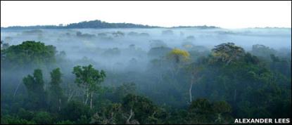 Serviços ecossistêmicos, Serviços ambientais, Serviços ecossistêmicos conceitos, Serviços ambientais conceitos