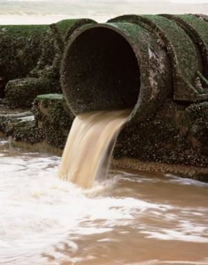 contaminantes emergentes