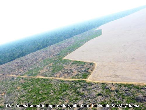 Definições utilizadas no Código Florestal - Lei 12.351/2012, Código Florestal, Lei 12.351/2012