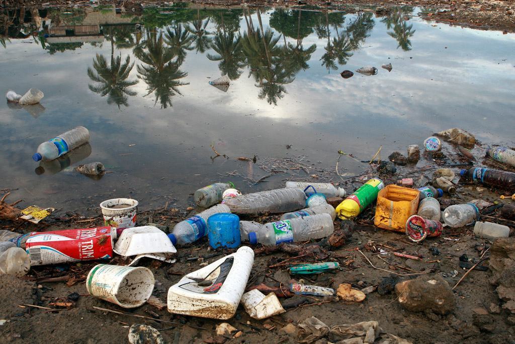 poluição por plásticos