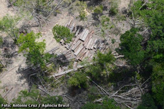 Mata Atlântica,desmatamento na Mata Atlântica,desmatamento,recursos hídricos