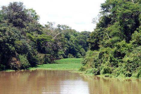 rio amazônia