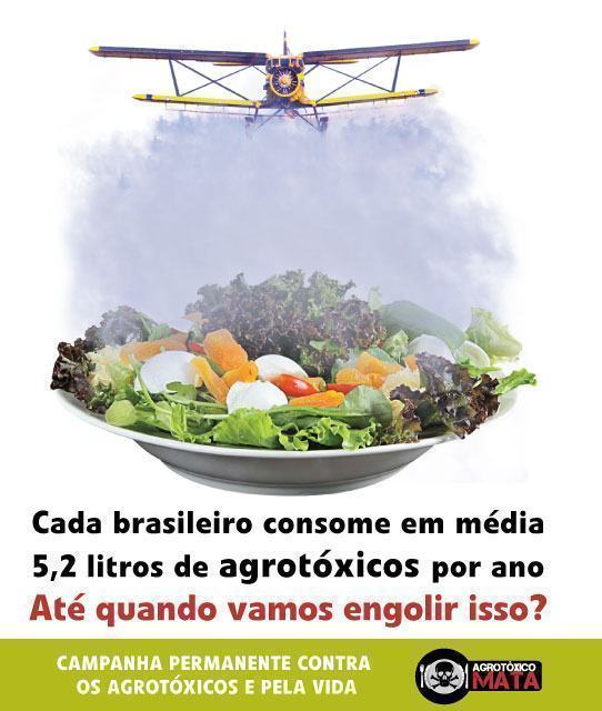 Brasileiros estão consumindo altas doses de agrotóxicos nos alimentos,agrotóxicos nos alimentos
