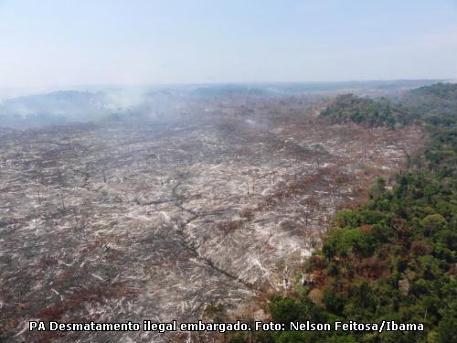 desmatamento na Amazônia