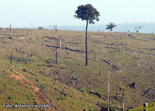 desmatamento na amazônia 2020, desmatamento e queimadas na amazônia