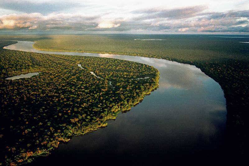 amazônia