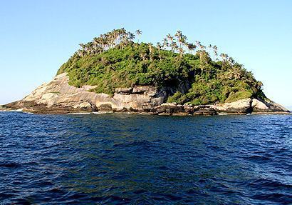 Ilha Da Queimada Grande Artigo De Roberto Naime