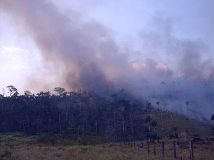 queimada