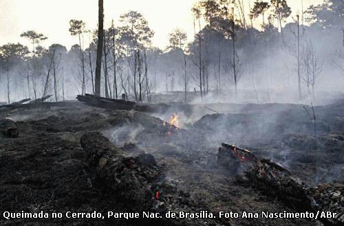 queimada