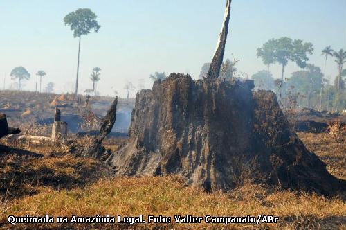 queimada na Amazônia