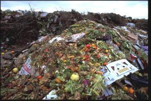 Desperdício de alimentos, desperdício de alimentos, alimentação mudanças climáticas, alimentos, desperdício