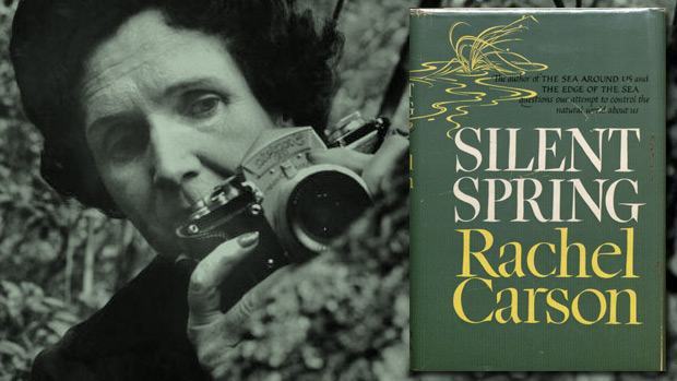 Resenha poética de Primavera Silenciosa de Rachel Carson, Resenha de Primavera Silenciosa, Rachel Carson, livro Primavera Silenciosa, Primavera Silenciosa