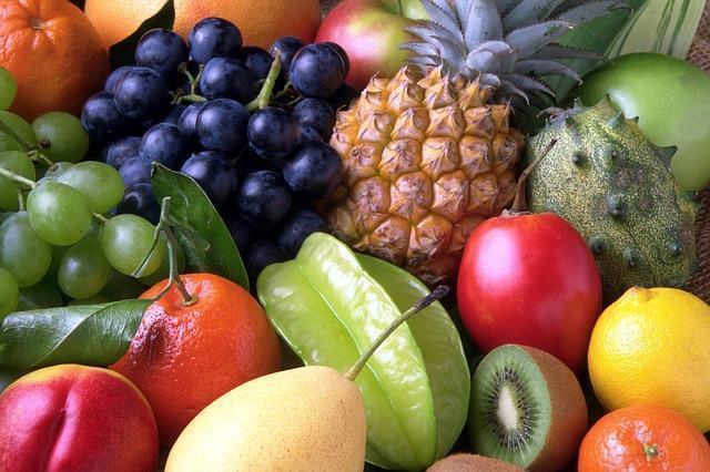 Frugivorismo,dieta frugívora,o que é dieta frugívora,explique dieta frugívora,como fazer dieta frugívora,dieta frugívora benefícios,benefícios da dieta frugífera