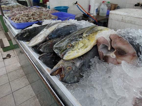 A contaminação por mercúrio em peixes marinhos no Brasil, contaminação de peixes, peixes contaminados, mercúrio, contaminação por mercúrio