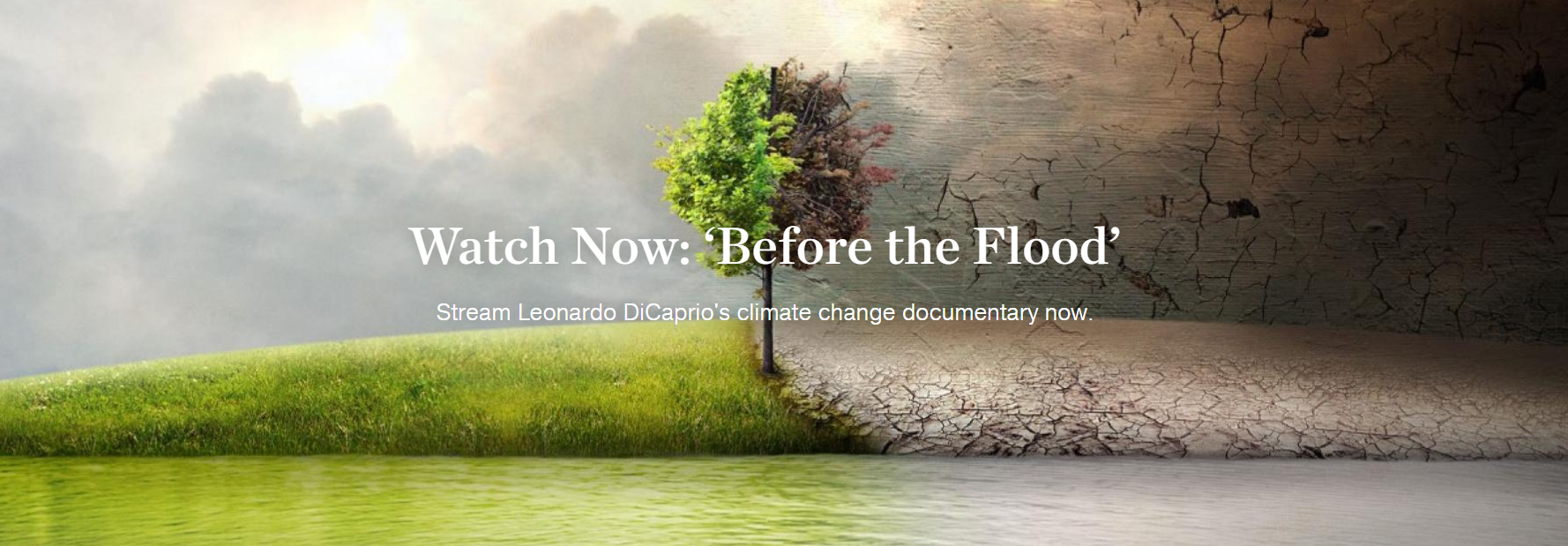 novo filme de Leonardo DiCaprio "Before the Flood