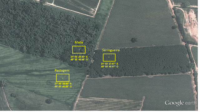 Figura 1. Áreas selecionadas para estudo sobre o impacto do cultivo de seringueira no município de Planalto/SP.