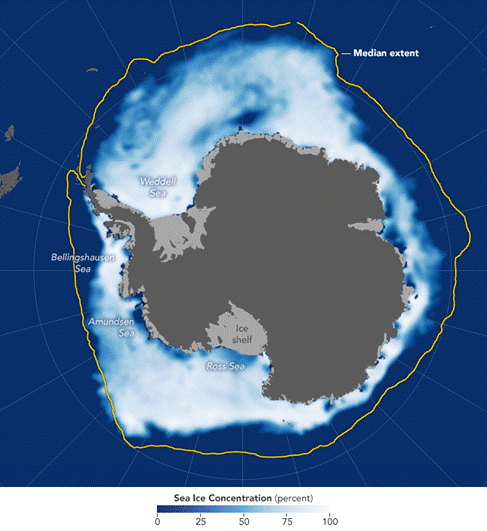 antarctic sea ice concentration