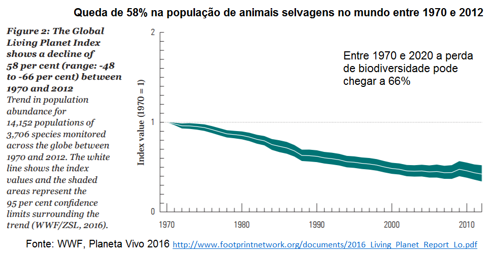 queda de 58% na população de animais selvagens no mundo entre 1970 e 2012