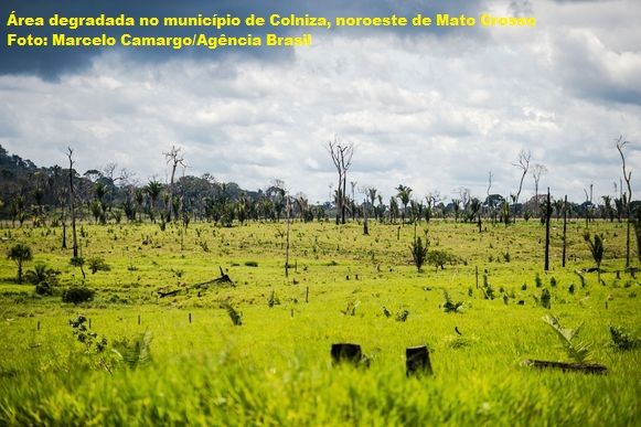 Área degradada no município de Colniza, noroeste do Mato Grosso