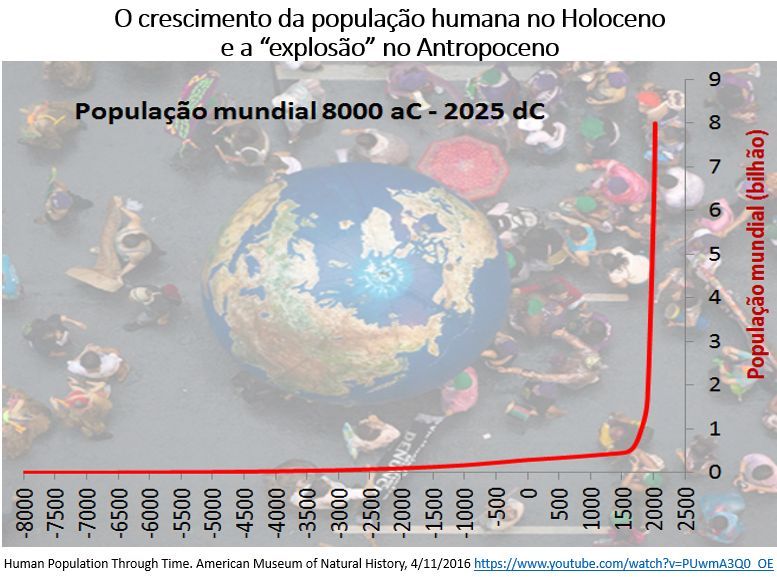 Muitas pragas, uma solução – Planeta Arroz