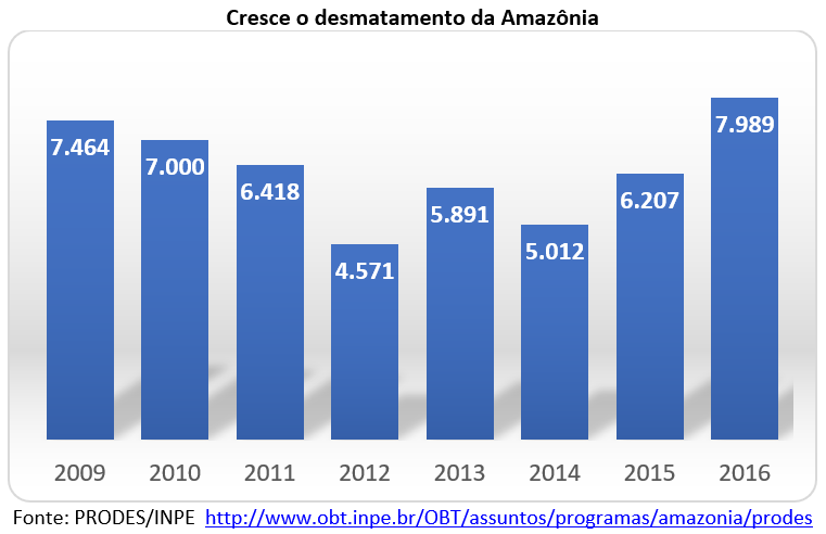 cresce o desmatamento da Amazônia