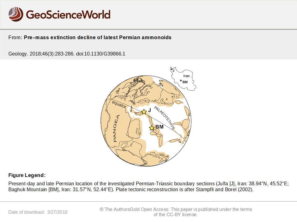 Preâmass extinction decline of latest Permian ammonoids