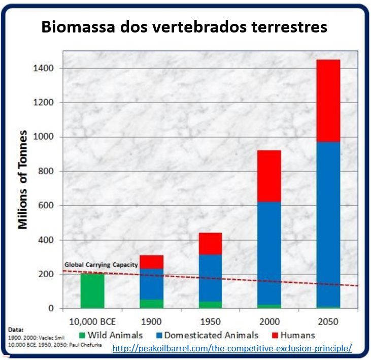 Qual é o número ideal de humanos sobre a Terra?,número ideal de humanos sobre a Terra,população mundial,biodiversidade,qual é a população ideal no planeta