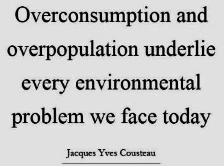 consumo,consumismo,população,Sobrecarga da Terra,superpopulação e superconsumo,Pegada Ecológica,o que é Pegada Ecológica,biocapacidade do Planeta,o que é biocapacidade do Planeta