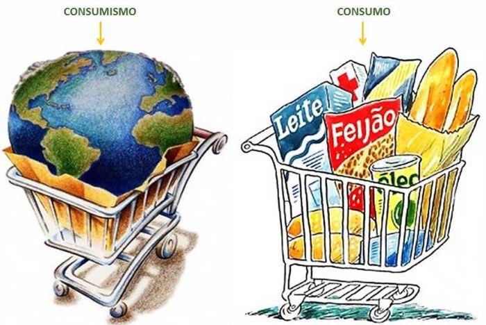 Figura 3 – Comparação entre Consumo e Consumismo.