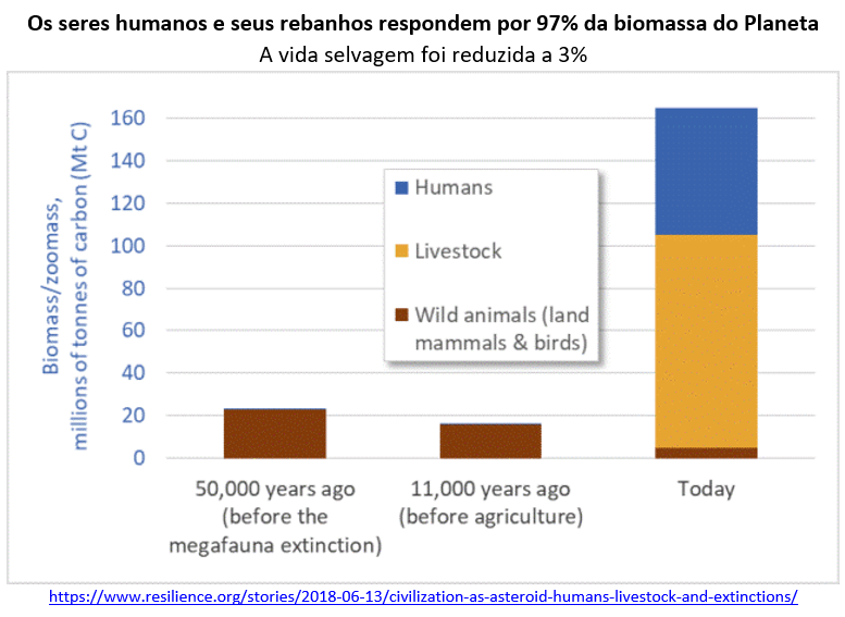 os seres humanos e seus rebanhos respondem por 97% da biomassa do planeta