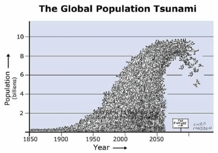 superpopulação