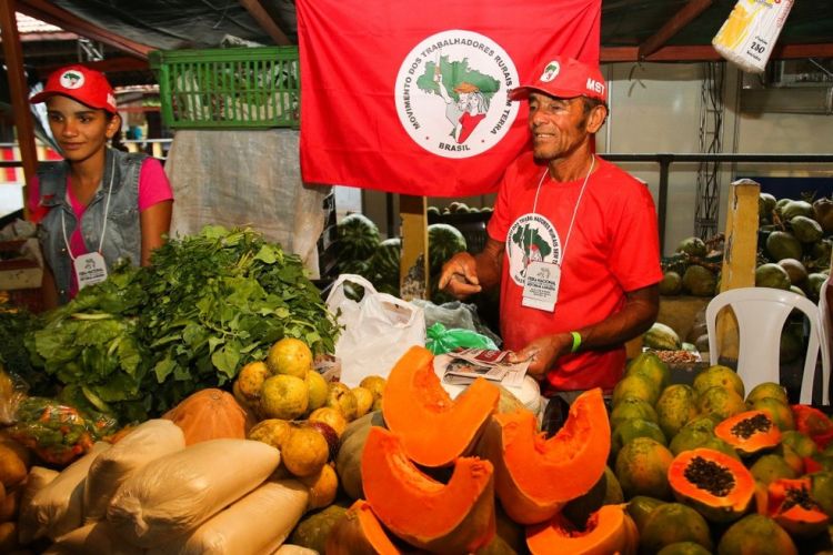 MST e a produção de alimentos orgânicos