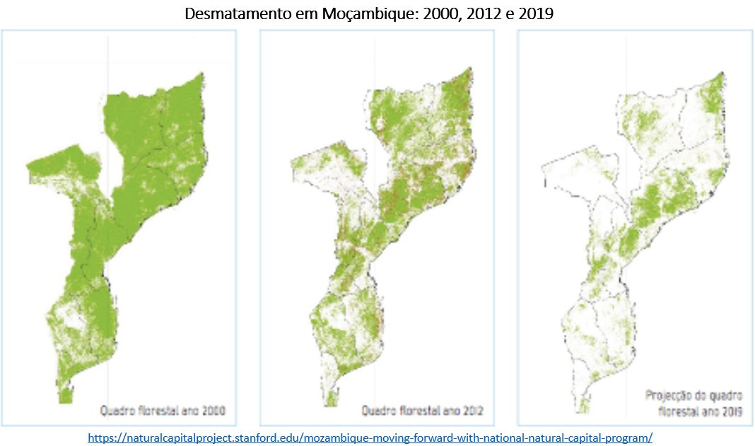 desmatamento em Moçambique de 2000 (esquerda) para 2012 (centro) e as projeções para 2019 (direita)