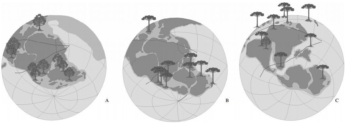 Distribuição paleográfica das coníferas Araucariaceae durante o Mesozoico