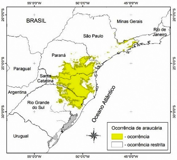 Áreas com ocorrência de araucária