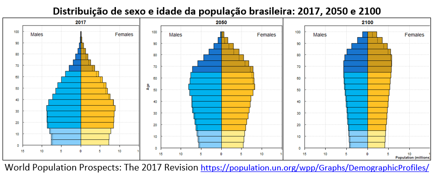 distribuição de sexo e idade da população no Brasil