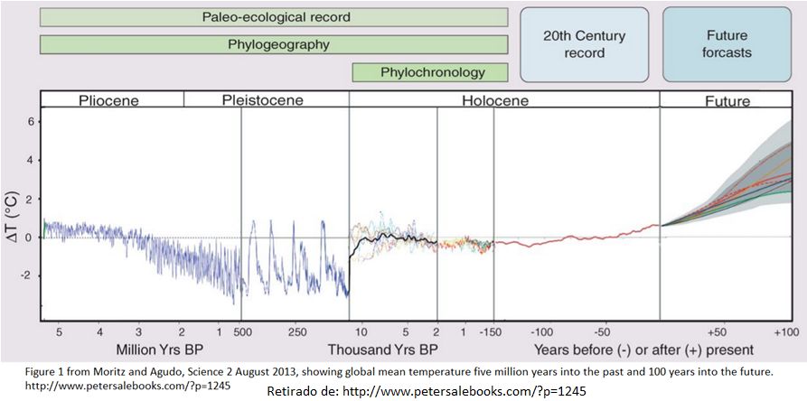 evolução da temperatura na terra