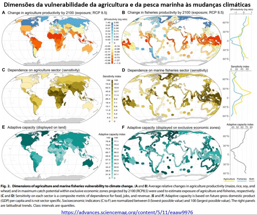 Brasil mil grau: o que o IPCC diz sobre o futuro do país no aquecimento  global?