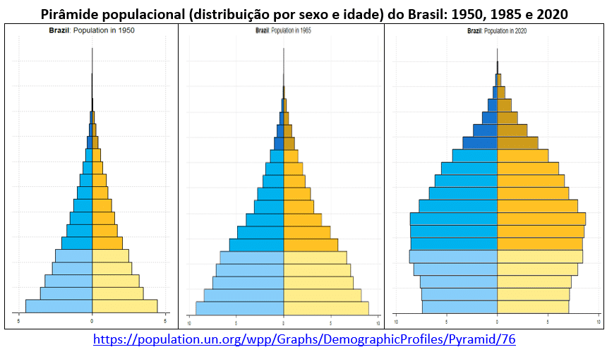 pirâmide populacional do Brasil