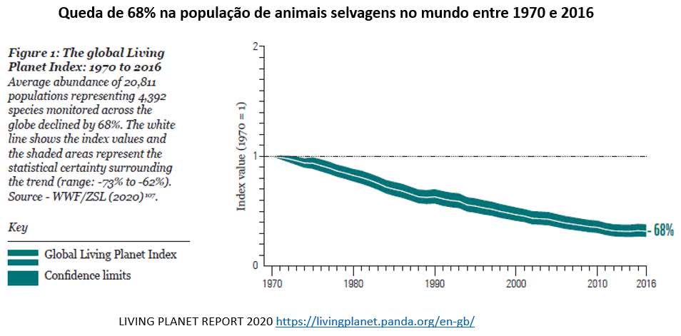 queda de 68% na população de animais selvagens no mundo entre 1970 e 2016