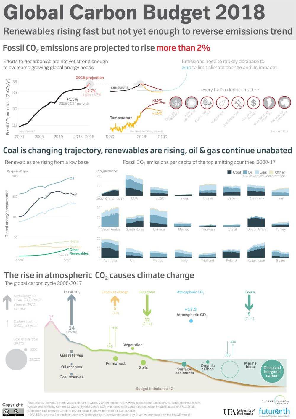 Global Carbon Budget