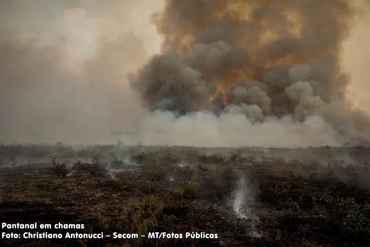 Pantanal em chamas