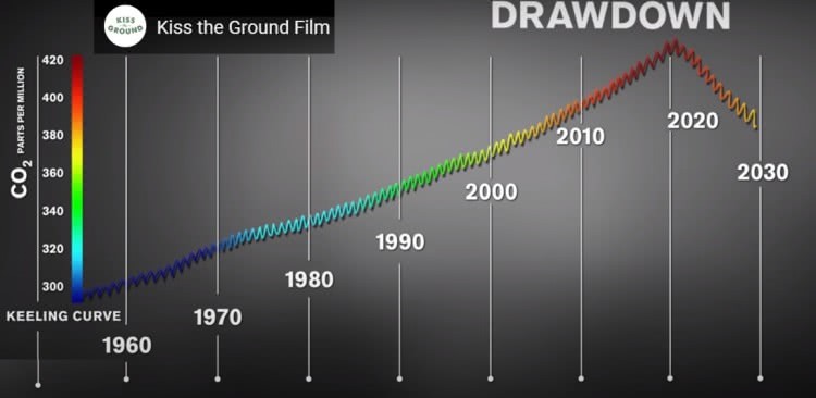 Documentário Solo Fértil - 'Kiss the Ground'