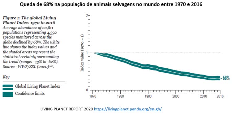 queda de 68% da população de animais selvagens no mundo