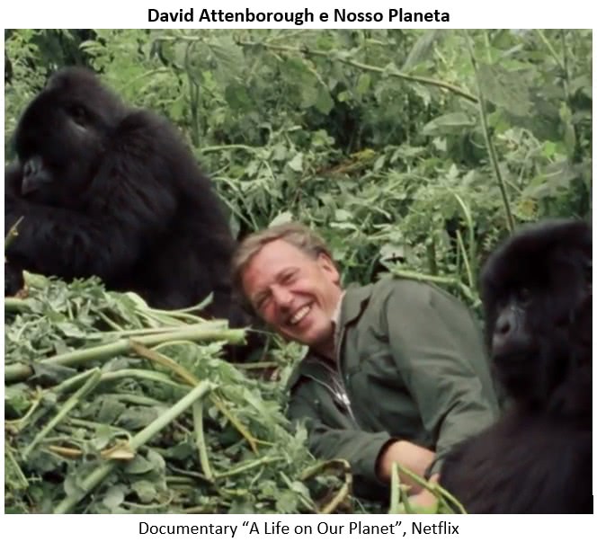 David Attenborough e Nosso Planeta