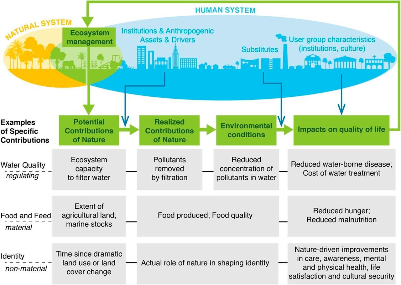 contribuições da natureza para os humanos